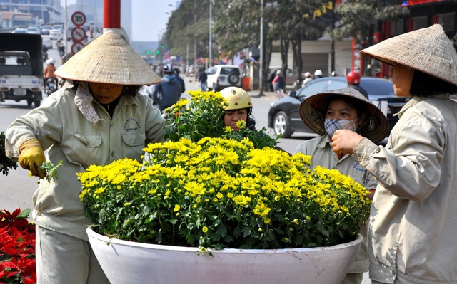 Hoa tươi được sử dụng nhiều để trang trí tạo một không gian đẹp và hài hòa với tự nhiên trong những ngày giáp Tết. Hoa tươi được sử dụng nhiều để trang trí tạo một không gian đẹp và hài hòa với tự nhiên trong những ngày giáp Tết.