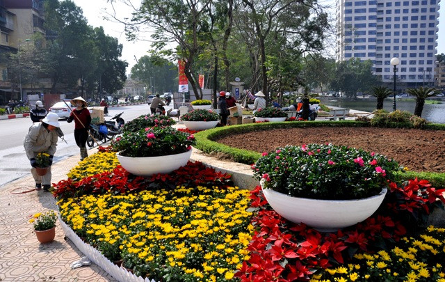 Xung quanh hồ Ngọc Khánh (Ba Đình, Hà Nội) cũng được trang trí những làn hoa lung linh đón xuân Giáp Ngọ 2014. Xung quanh hồ Ngọc Khánh (Ba Đình, Hà Nội) cũng được trang trí những làn hoa lung linh đón xuân Giáp Ngọ 2014.