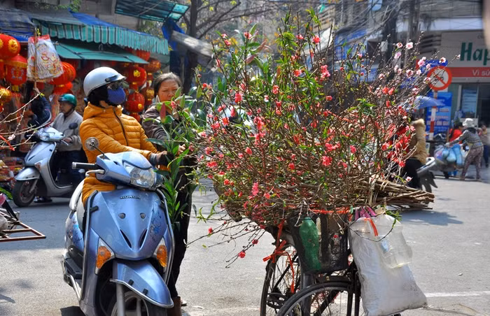 Theo một người bán đào cành ở đầu Hàng Lược chia sẻ: “Khách mua đào từ những ngày mồng của tháng Chạp và cứ thế lượng khách hàng lại tăng dần theo thời gian”.
