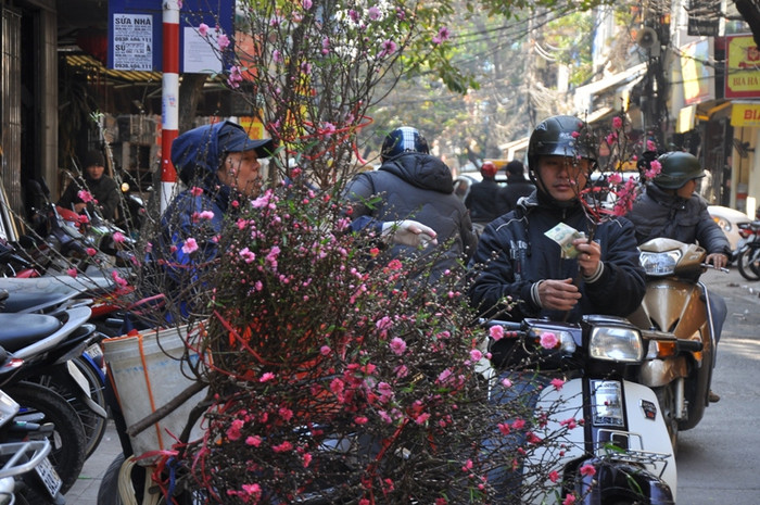 Mỗi cành đào thường có giá từ 100.000 – 300.000 đồng. Ước tính một ngày mỗi người phải bán được cả chục cành đào to nhỏ.