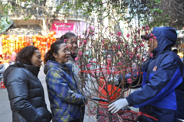Hay đơn giản nhiều người chỉ là dạo phố và tìm sắc xuân mới qua những cành đào.
