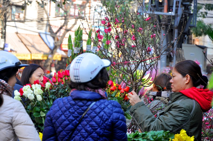 Những cành đào nhỏ nhắn, xinh xắn đang nở hoa đã được các chủ buôn lựa chọn rất kỹ từ dưới vườn nhằm đáp ứng yêu cầu của người mua hàng trên phố.