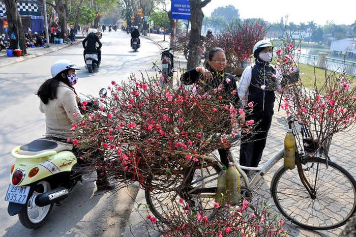 Người mua đào cành trong dịp trước Tết là những người muốn mua về thắp hương ngày Rằm và ngày Ông Táo lên trời (23 tháng Chạp).