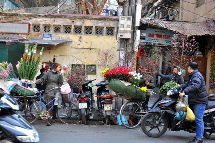 Nhộn nhịp thị trường hoa cảnh, đào cành gần Tết trên phố cổ.