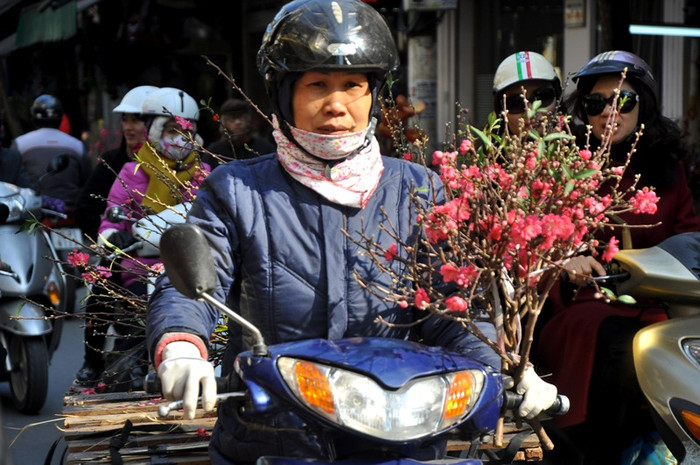 Theo Bà Hường (Hàng Bông, Hoàn Kiếm) chia sẻ: “Năm nào cũng vậy, cứ vào đầu tháng Chạp, tôi lại mua một cành đào về thắp hương cúng tổ tiên và trang trí nhà cửa cho có không khí đón Tết”.