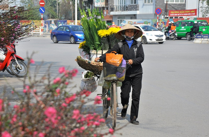 Không chỉ cành đào mà thị trường hoa trong dịp này cũng bán chạy bởi nhu cầu trang trí nhà cửa đón Tết của người dân.