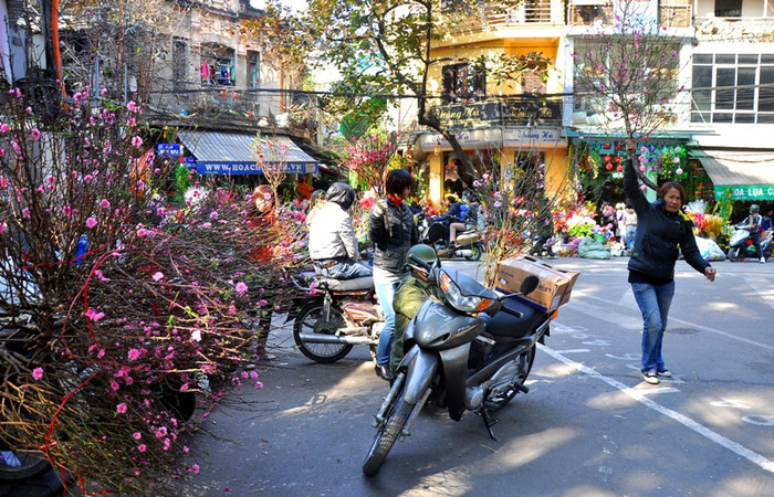 Góc phố Hàng Lược lại tấp nập không khí xuân.