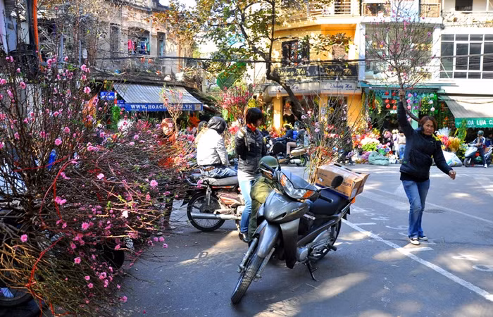 Góc phố Hàng Lược lại tấp nập không khí xuân.