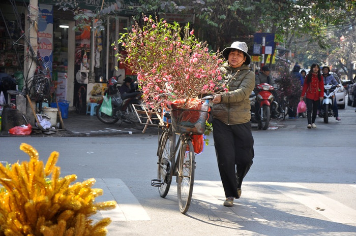 Bà Nguyễn Thị Quyền (Tây Hồ, Hà Nội) kể về công việc buôn cành đào: Cứ chiều tối lại đến vườn đào Nhật Tân chọn mua những cành đào mà chủ vườn cắt để sáng hôm sau lại mang đào xuống phố bán rong.