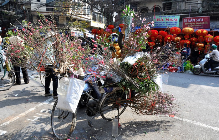 Con Phố Hàng Lược (Hoàn Kiếm, Hà Nội) là điểm dừng của những làn xe đào.