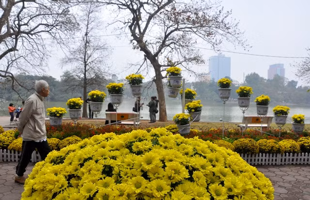 Đã trở thành thông lệ, khi Tết đến Xuân về, các đơn vị môi trường thành phố Hà Nội lại chỉnh trang đô thị. Năm nay, Hà Nội mang một diện mạo mới đón Tết Giáp Ngọ. Đã trở thành thông lệ, khi Tết đến Xuân về, các đơn vị môi trường thành phố Hà Nội lại chỉnh trang đô thị. Năm nay, Hà Nội mang một diện mạo mới đón Tết Giáp Ngọ.