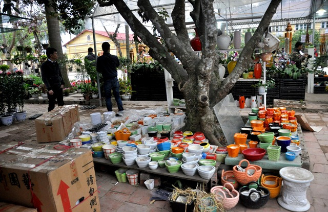 Nhiều mặt hàng chậu hoa, giỏ hoa bán kèm…