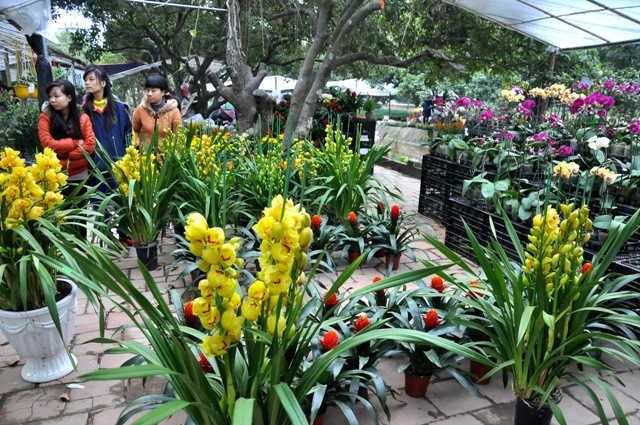 Khách hàng tới đây không chỉ là những bạn sinh viên mà còn có rất đông người dân Hà Nội hoặc các tỉnh lân cận về mua với số lượng lớn.