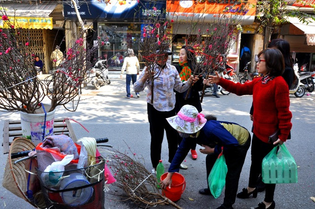 Những cành đào mang hương vị Tết cổ truyền của dân tộc tại phố Hàng Lược rất được người mua ưa chuộng trong dịp Tết ông Công, ông Táo. Những cành đào mang hương vị Tết cổ truyền của dân tộc tại phố Hàng Lược rất được người mua ưa chuộng trong dịp Tết ông Công, ông Táo.