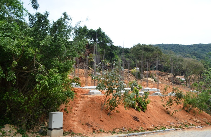 Một khu móng biệt thự khác nằm tiếp giáp với rừng rậm Sơn Trà