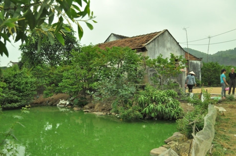 Những ngày qua, không khí gia đình Cúc thật buồn Những ngày qua, không khí gia đình Cúc thật buồn