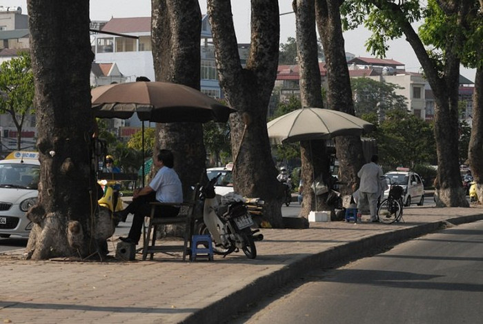 Một chiếc xe đạp cũ, đôi quang gánh, hòm sắt đựng đồ… là đã tạo ra một quán cắt tóc vỉa hè. Không nhất thiết phải có mặt bằng, cửa hàng cửa hiệu đầy đủ tiện nghi mới làm được mà đôi khi chỉ cần một chút tay nghề vững... Một chiếc xe đạp cũ, đôi quang gánh, hòm sắt đựng đồ… là đã tạo ra một quán cắt tóc vỉa hè. Không nhất thiết phải có mặt bằng, cửa hàng cửa hiệu đầy đủ tiện nghi mới làm được mà đôi khi chỉ cần một chút tay nghề vững...