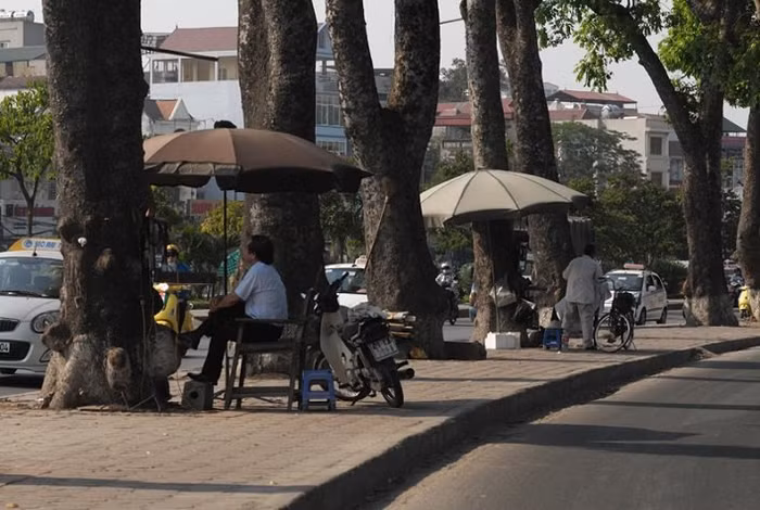Một chiếc xe đạp cũ, đôi quang gánh, hòm sắt đựng đồ… là đã tạo ra một quán cắt tóc vỉa hè. Không nhất thiết phải có mặt bằng, cửa hàng cửa hiệu đầy đủ tiện nghi mới làm được mà đôi khi chỉ cần một chút tay nghề vững...