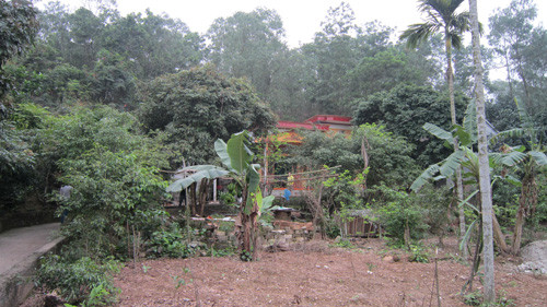 Khu vườn nhà bà Dân, nơi ông Quệ bị bắt và ngất xỉu rồi tử vong. (Ảnh: Thiên Bình/thanhnien) Khu vườn nhà bà Dân, nơi ông Quệ bị bắt và ngất xỉu rồi tử vong. (Ảnh: Thiên Bình/thanhnien)