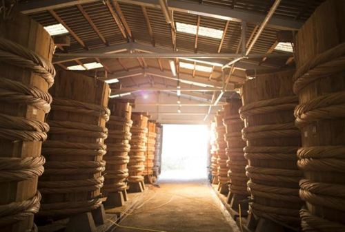 Nhà thùng nước mắm Masan Phú Quốc có 448 thùng với năng suất trung bình 15-20 ngàn lít nước mắm cốt mỗi ngày, đáp ứng 15% nguồn nguyên liệu cho các nhà máy sản xuất nước mắm của Masan. Ảnh: Masan.