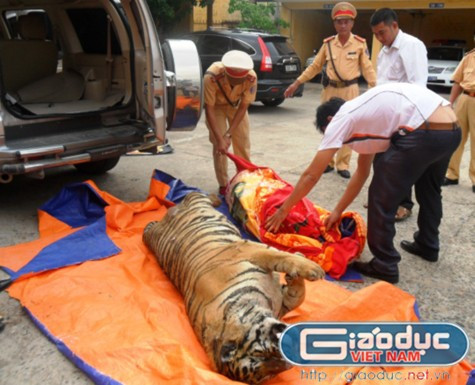 Tang vật tại cơ quan CSGT tỉnh Quảng Bình Tang vật tại cơ quan CSGT tỉnh Quảng Bình