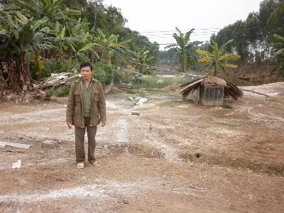 Ông Nguyễn Trọng Túc đứng bần thần bên lán vịt đã tháo dỡ sau khi tiêu hủy