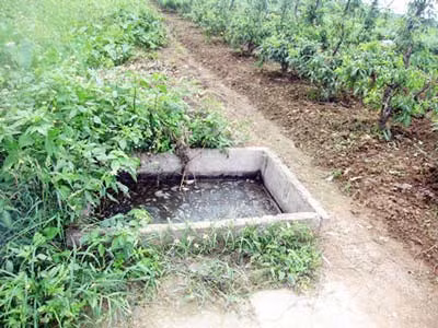 Để trốn tù, có kẻ đã ngâm mình trong hố phân nhiều giờ (Ảnh minh họa)