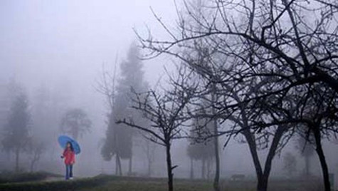 Từ đêm nay miền Bắc trở lạnh. Từ đêm nay miền Bắc trở lạnh.