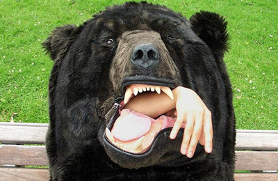 5. Để ngăn chặn sự tấn công của gấu khi ngủ trong rừng, Eiko Ishizawa đã phát minh ra loại túi ngủ hình con gấu ấm áp và an toàn.