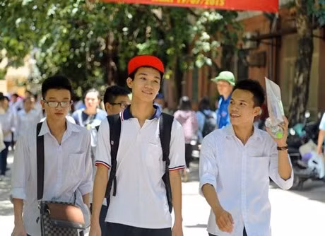 Đề tham khảo môn Toán, không thể chọn bừa đáp án ảnh 2