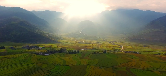 Hình ảnh cánh đòng phủ xanh sức sống trong MV "Vươn cao Việt Nam" Hình ảnh cánh đòng phủ xanh sức sống trong MV "Vươn cao Việt Nam"