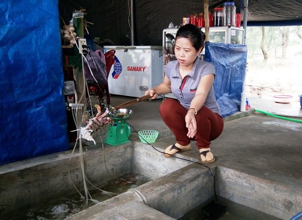 Cá chết ở đâu đó dạt vào bờ, chắc gì đã phải do xả thải? ảnh 3 Cá chết ở đâu đó dạt vào bờ, chắc gì đã phải do xả thải? ảnh 3