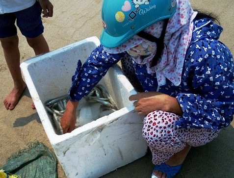 Người dân gom cá lên bờ (Ảnh: Thủy Phan) Người dân gom cá lên bờ (Ảnh: Thủy Phan)