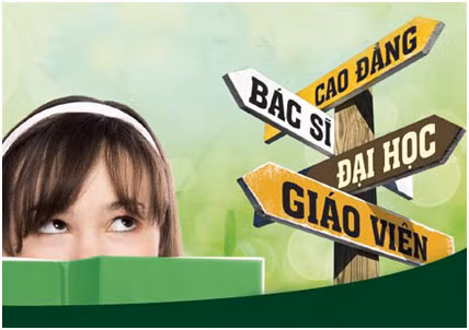 Vì xã hội không có đất “dụng võ” hay cử nhân chưa đáp ứng nhu cầu xã hội? ảnh 3