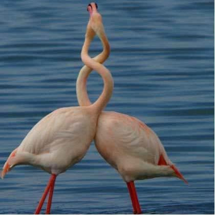 "Một khi đã yêu nhau, thì cần gì phải xoắn"