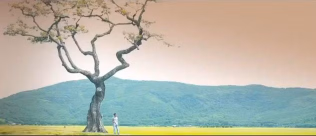 "Hai chữ Thanh Hóa nghe sao thật thiết tha. Nơi mà....những cánh cò bay lả, những ruộng đồng bao la những biển khơi đầy tôm cá". "Hai chữ Thanh Hóa nghe sao thật thiết tha. Nơi mà....những cánh cò bay lả, những ruộng đồng bao la những biển khơi đầy tôm cá".