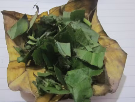 Bên trong gói thuốc toàn lá cúc tần và lá chuối.