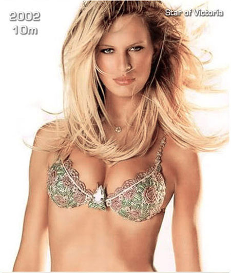 Sự thật sau những chiếc áo ngực triệu đô của Victoria’s Secret ảnh 12 Sự thật sau những chiếc áo ngực triệu đô của Victoria’s Secret ảnh 12