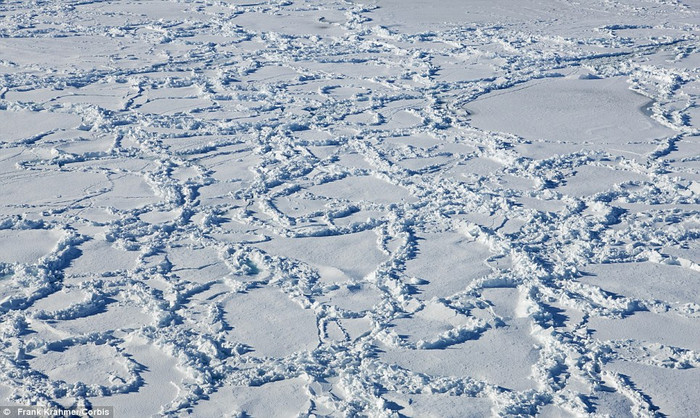 21. Đám băng nổi lớn tại Nam Cực 21. Đám băng nổi lớn tại Nam Cực