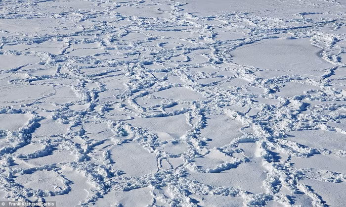 21. Đám băng nổi lớn tại Nam Cực 21. Đám băng nổi lớn tại Nam Cực