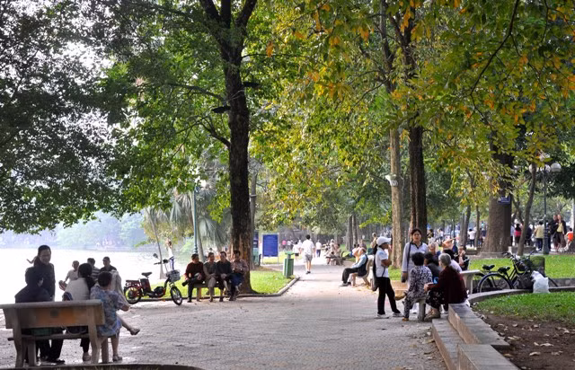 Khối màu vàng đang dần bao phủ khung cảnh quanh hồ Gươm trong những ngày Thu. Khối màu vàng đang dần bao phủ khung cảnh quanh hồ Gươm trong những ngày Thu.