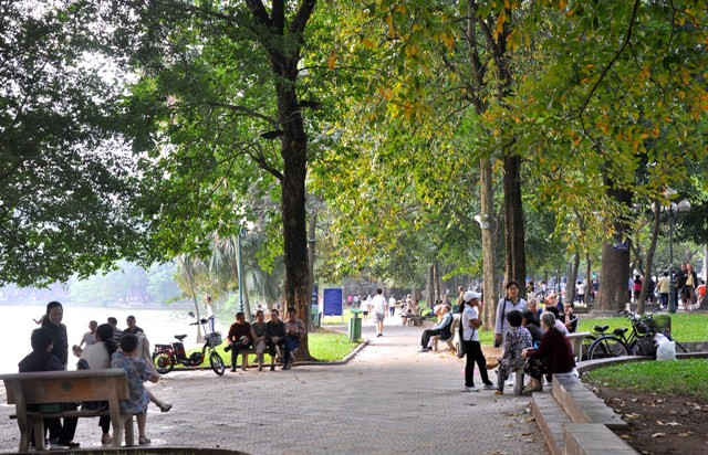 Khối màu vàng đang dần bao phủ khung cảnh quanh hồ Gươm trong những ngày Thu. Khối màu vàng đang dần bao phủ khung cảnh quanh hồ Gươm trong những ngày Thu.