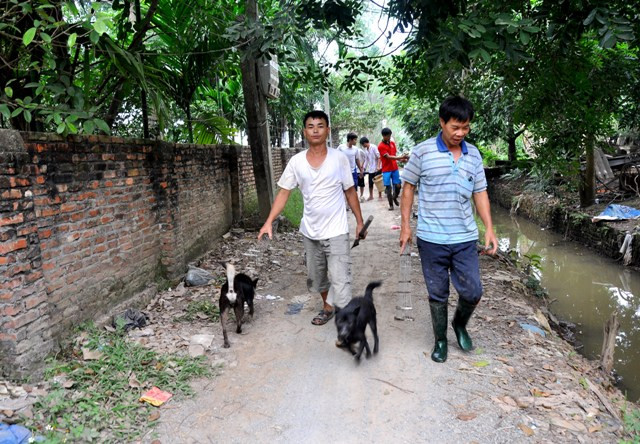 Việc săn chuột ở Canh Nậu không biết đã bắt đầu từ bao giờ, nhưng khi hỏi về thịt chuột thì người dân trong vùng này đều biết. Việc săn chuột ở Canh Nậu không biết đã bắt đầu từ bao giờ, nhưng khi hỏi về thịt chuột thì người dân trong vùng này đều biết.