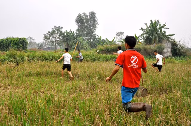 Các thanh niên trong làng thường tranh thủ thời gian rảnh rỗi lại kéo nhau ra đồng săn chuột.