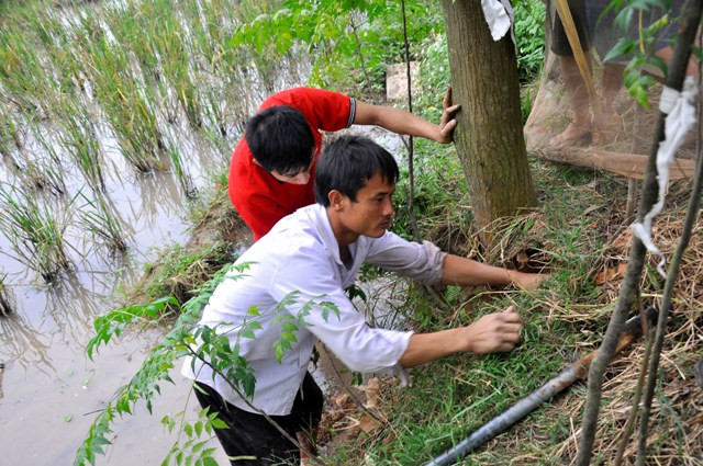 Với những người không có kinh nghiệm thì việc bắt được một con chuột thật không phải là việc đơn giản. Với những người không có kinh nghiệm thì việc bắt được một con chuột thật không phải là việc đơn giản.