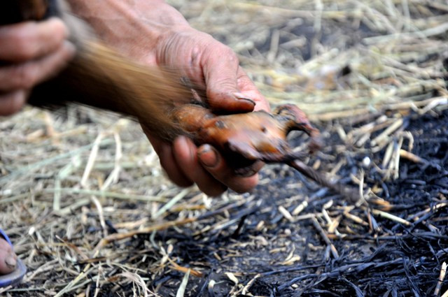 Thịt chuột được làm rất kĩ và sạch trước khi đưa bán cho khách hàng. Thịt chuột được làm rất kĩ và sạch trước khi đưa bán cho khách hàng.