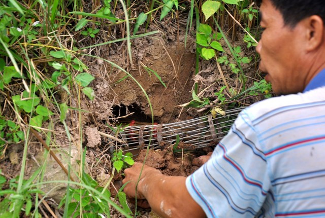 Chặn hết các ngóc ngách, hang của chuột có thể luồn lách bằng những chiếc hom sắt hoặc tre. Chặn hết các ngóc ngách, hang của chuột có thể luồn lách bằng những chiếc hom sắt hoặc tre.