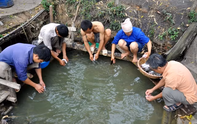 Anh Nguyễn Đức Sơn chia sẻ kinh nghiệm trong việc làm lông chuột: “Làm lông chuột thì cần phải làm dưới nước, lông chuột sẽ rất dễ làm, nếu thiếu nước sẽ bị bóc da chuột ngay”