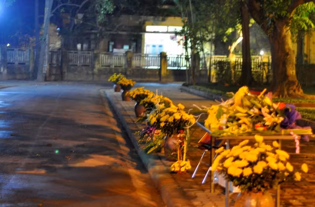 Đường vào ngôi nhà Đại tướng ngập tràn hoa tươi dành tặng Người.