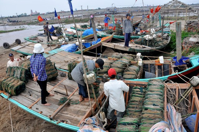 Không khí khẩn trương tấp lập tại các bãi chài của huyện Hải Hậu Không khí khẩn trương tấp lập tại các bãi chài của huyện Hải Hậu